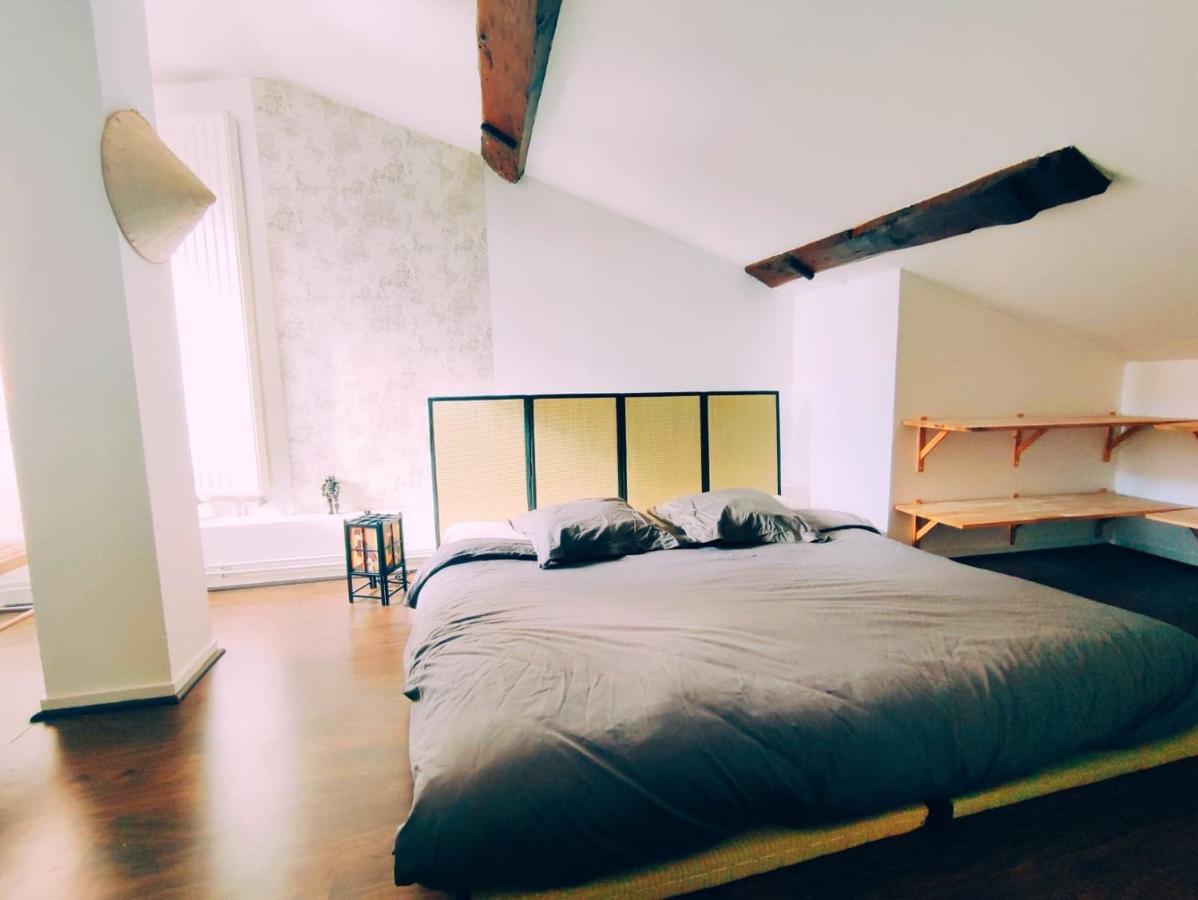 Superbe Appartement Duplex Centre Ville De Mâcon Zewnętrze zdjęcie